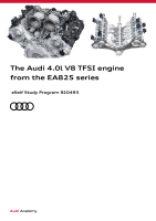 SSP 920493 - The Audi 4.0l V8 TFSI engine from the EA825 series 